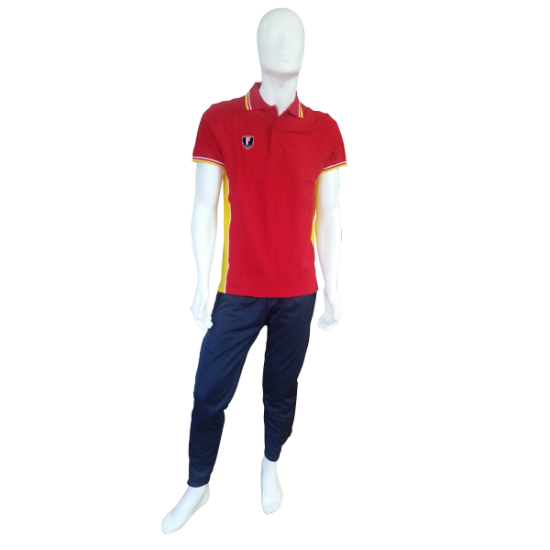 Polo Ankara manichino